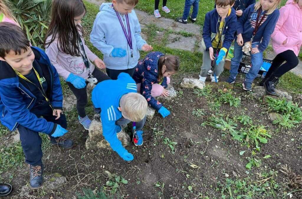 Sodelovanje v mednarodnem projektu Krokus