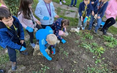 Sodelovanje v mednarodnem projektu Krokus