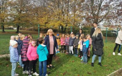 Posadili smo ameriško borovnico