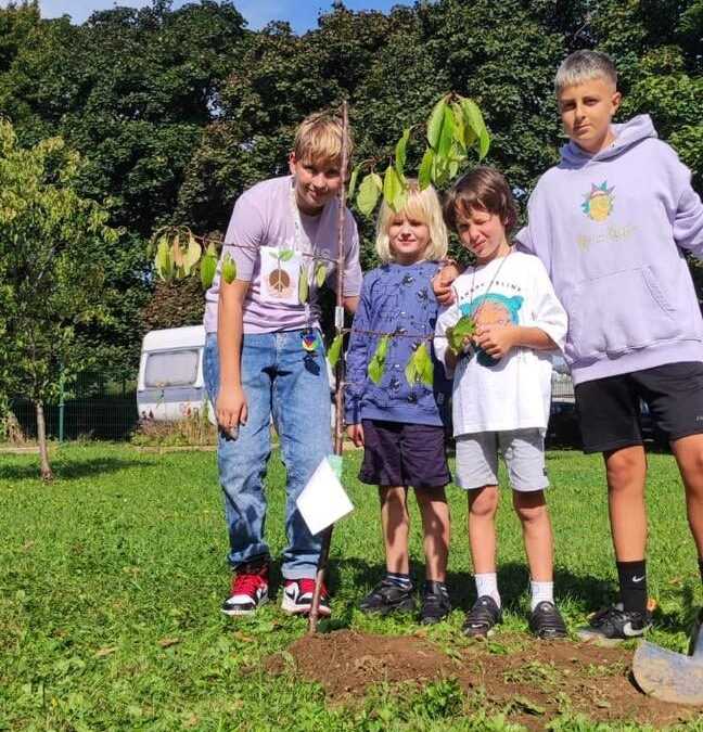 PLANT AND CARE FOR PEACE