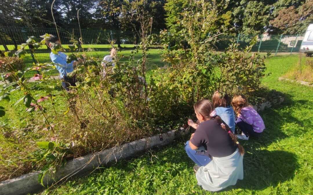 EXTRACURRICULAR ACTIVITIES