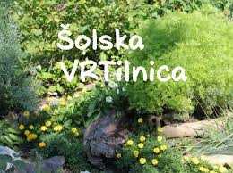 Šolska vrtilnica